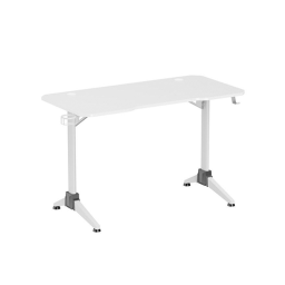 კომპიუტერის მაგიდა - 2E Gaming Otoroshi White-Grey