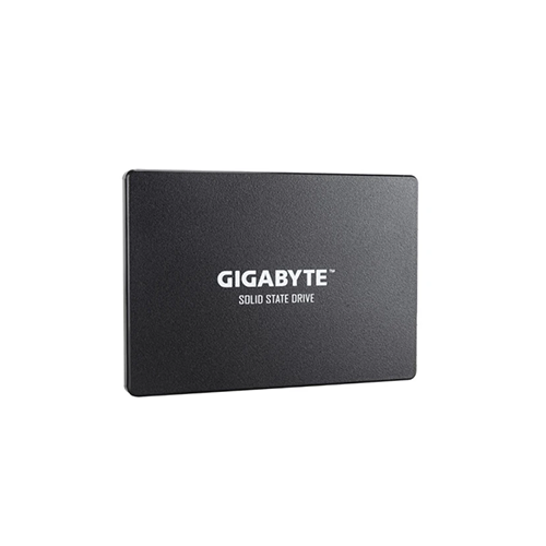 ვინჩესტერი - SSD Gigabyte 1 TB