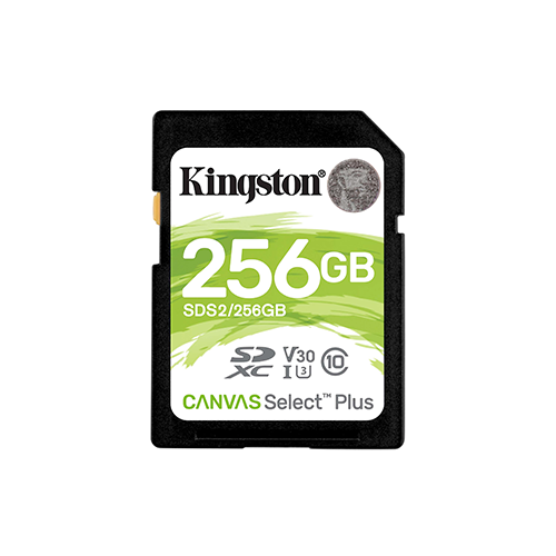 მეხსიერება - SD Card Kingston 256 GB