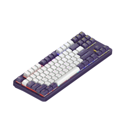 მექანიკური კლავიატურა - Dark Project Alu 87 Violet