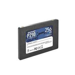 ვინჩესტერი - SSD Patriot P210 256 GB