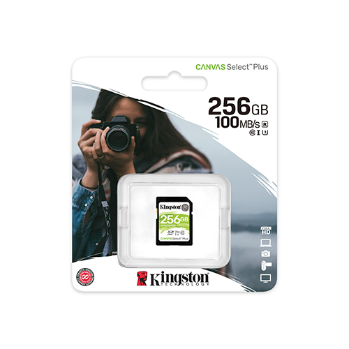 მეხსიერება - SD Card Kingston 256 GB