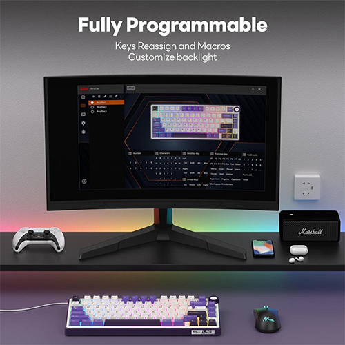 მექანიკური კლავიატურა - Royal Kludge RK R75 K Silver Switch Blackberry