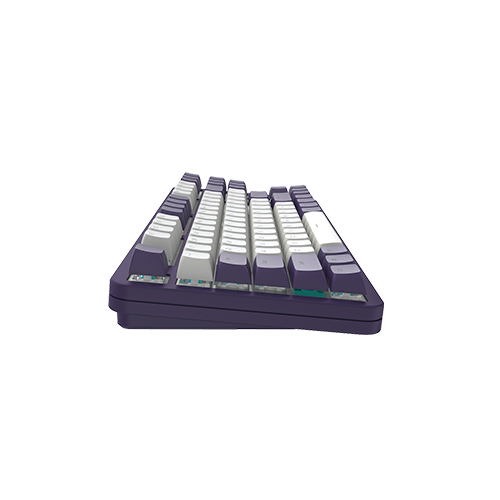 მექანიკური კლავიატურა - Dark Project Alu 87 Violet