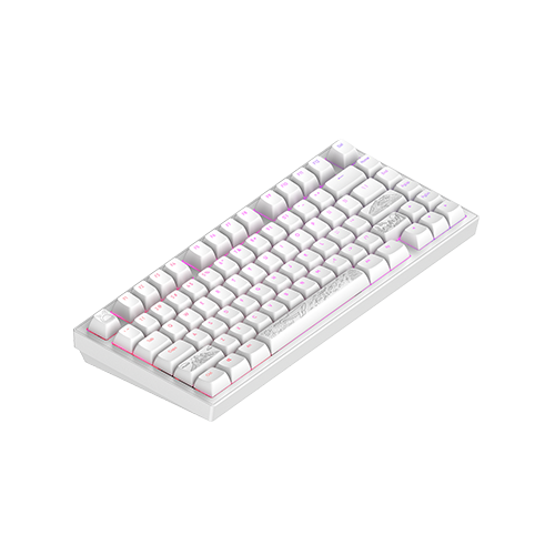 მექანიკური კლავიატურა - Dark Project Alu Terra Nostra White
