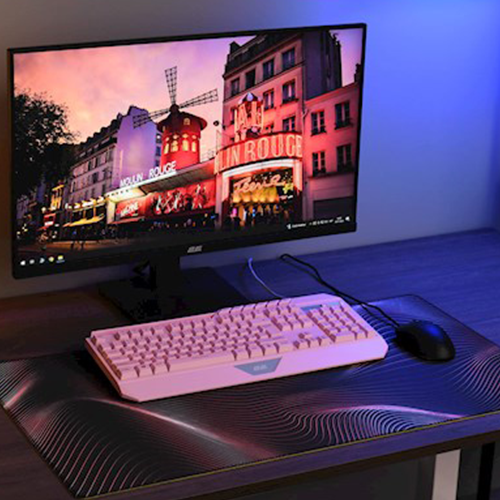 მაუსპადი - 2E Gaming Pro Speed D03 XL - 80x45 სმ Multicolor