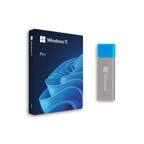 ლიცენზირებული ვინდოუსი - Windows 11 Pro 64 Bit - Flash