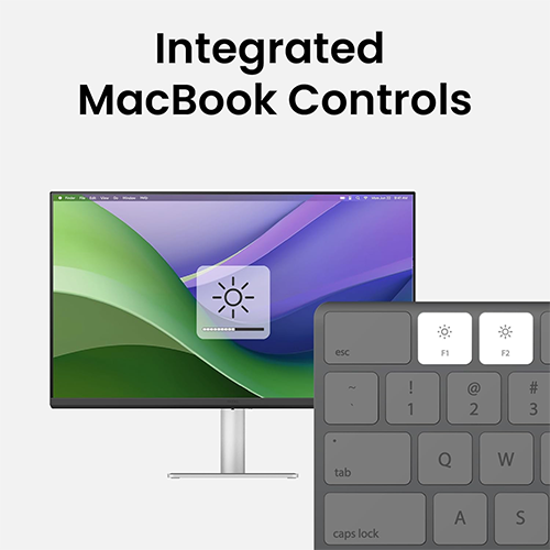 მონიტორი - Benq MA320U - 31.5 Inch / 4K / IPS / 60 Hz / 5 Ms