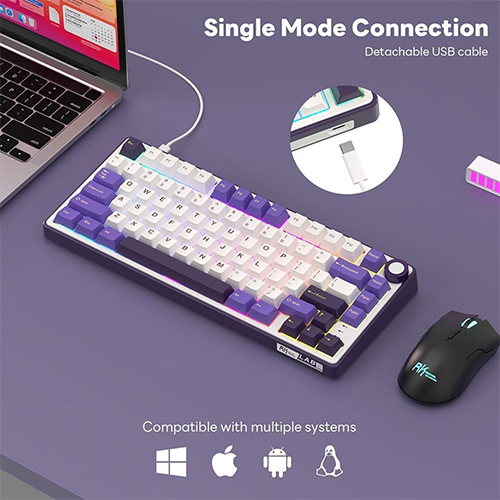 მექანიკური კლავიატურა - Royal Kludge RK R75 K Silver Switch Blackberry