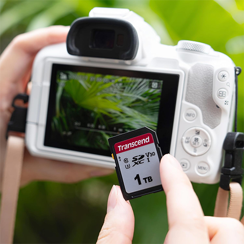 მეხსიერება - SD Card Transcend 256 GB V30 4K