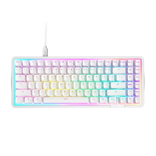 მექანიკური კლავიატურა - NZXT Function 2 Elite Mini TKL RGB White