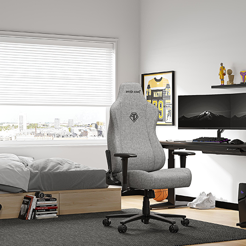 კომპიუტერის სკამი - AndaSeat Novis L Size Grey