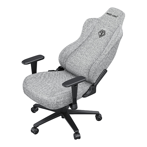 კომპიუტერის სკამი - AndaSeat Novis L Size Grey