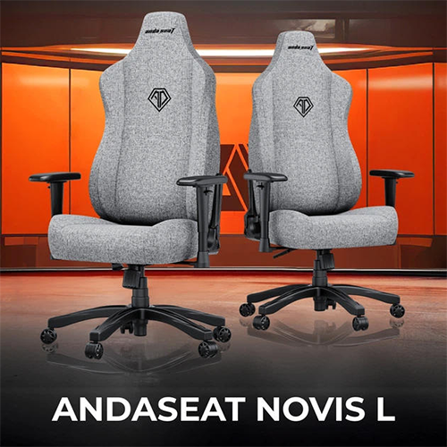 კომპიუტერის სკამი - AndaSeat Novis L Size Grey