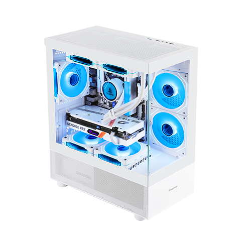 ქეისი - Segotep Endura 240S White