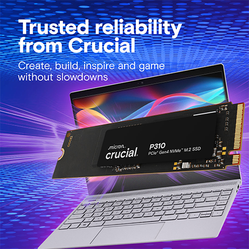 M2 SSD Crucial P310 1 TB PCIe 4.0