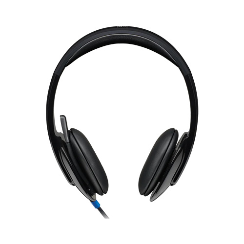ყურსასმენი - Logitech H540 USB Black