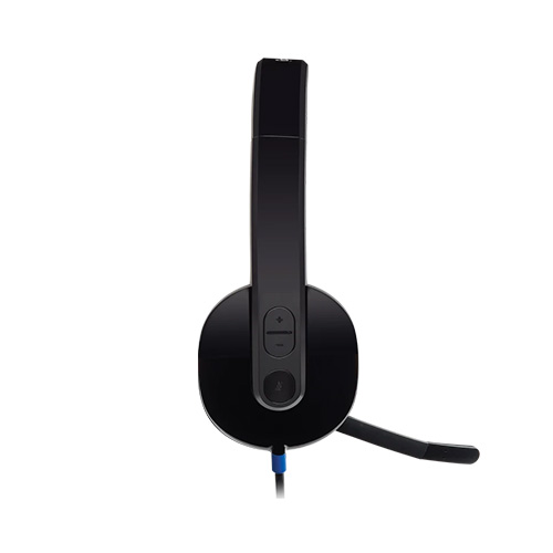ყურსასმენი - Logitech H540 USB Black