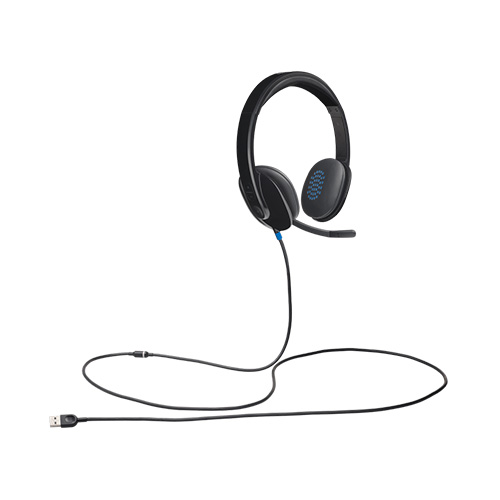 ყურსასმენი - Logitech H540 USB Black
